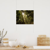 熱帯雨林の大樹川 ポスター (キッチン)