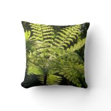 熱帯雨林の木シダ