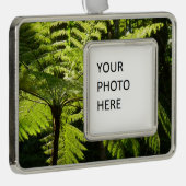 熱帯雨林の木シダ シルバープレートフレームオーナメント (右)