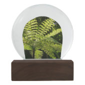 熱帯雨林の木シダ スノーグローブ (裏面)