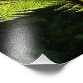 熱帯雨林の木シダ フォトプリント            (角)