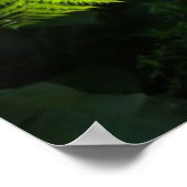 熱帯雨林の木シダ ポスター (角)