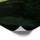 熱帯雨林の木シダ ポスター (角)