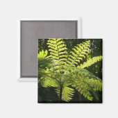 熱帯雨林の木シダ マグネット (正面/裏面)