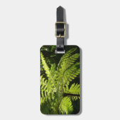 熱帯雨林の木シダ ラゲッジタグ (正面縦)