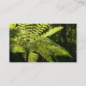 熱帯雨林の木シダ 名刺 (裏面)