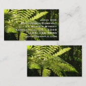熱帯雨林の木シダ 名刺 (正面/裏面)