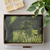 熱帯雨林の木シダ 薄葉紙 (ギフト)