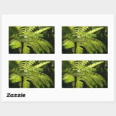 熱帯雨林の木シダ 長方形シール (シート)