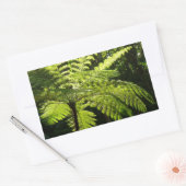 熱帯雨林の木シダ 長方形シール (封筒)