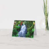 熱帯雨林の極楽鳥 カード (正面)