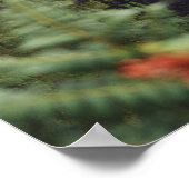 熱帯雨林の滝写真ポスター ポスター (角)