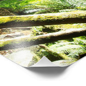 熱帯雨林の滝 フォトプリント            (角)