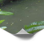 熱帯雨林の滝 ポスター (角)