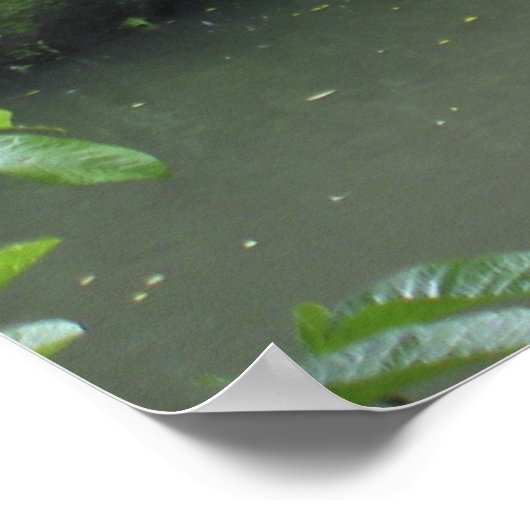 熱帯雨林の滝 ポスター (角)