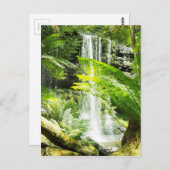 熱帯雨林の滝 ポストカード (正面/裏面)