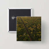 熱帯雨林の空中図。岩倉間予備隊2 缶バッジ (正面&裏面)