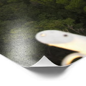 熱帯雨林の空中表示。いわくらま準備金2 フォトプリント            (角)