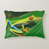 熱帯雨林の緑の目が赤いアマガエル アクセントクッション (正面)
