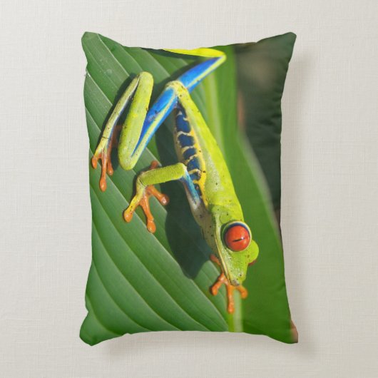 熱帯雨林の緑の目が赤いアマガエル アクセントクッション (正面(垂直))