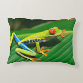 熱帯雨林の緑の目が赤いアマガエル アクセントクッション (裏面)