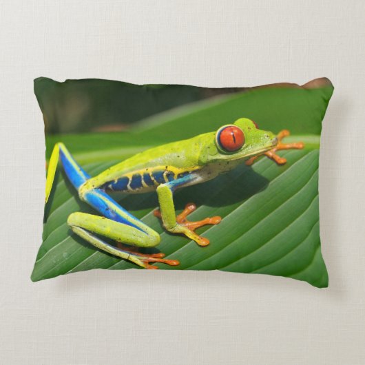 熱帯雨林の緑の目が赤いアマガエル アクセントクッション (裏面)