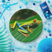 熱帯雨林の緑の目が赤いアマガエル ペーパープレート (パーティー)