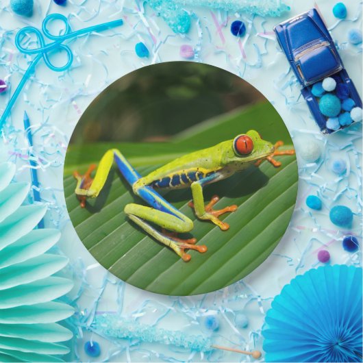 熱帯雨林の緑の目が赤いアマガエル ペーパープレート (パーティー)