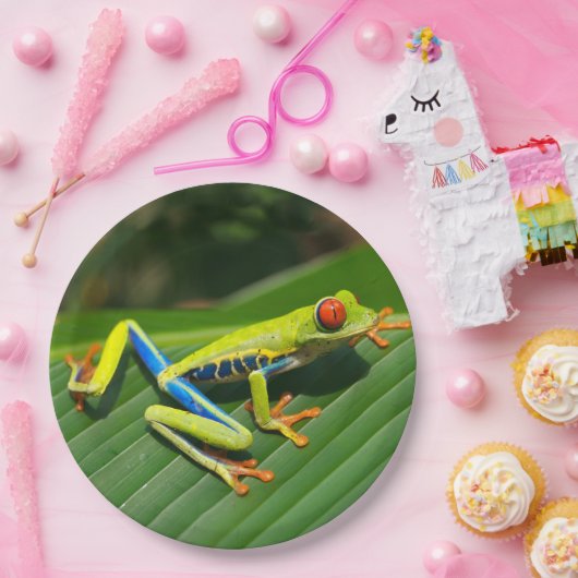 熱帯雨林の緑の目が赤いアマガエル ペーパープレート (パーティー)