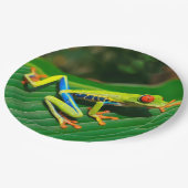 熱帯雨林の緑の目が赤いアマガエル ペーパープレート (アングル)