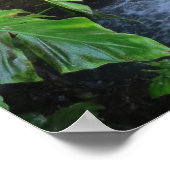 熱帯雨林の美しい滝のポスター ポスター (角)