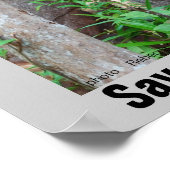 熱帯雨林の野生生物 ポスター (角)