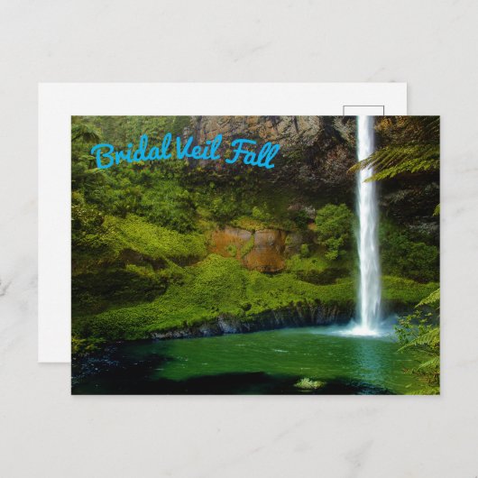 熱帯雨林ジャングル滝 ポストカード (正面/裏面)