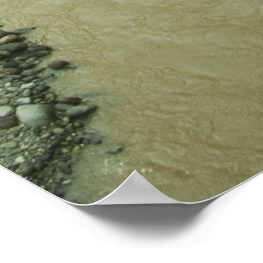 熱帯雨林川 ポスター (角)