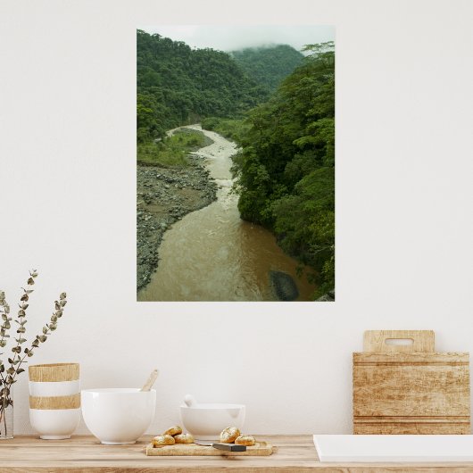 熱帯雨林川 ポスター (キッチン)