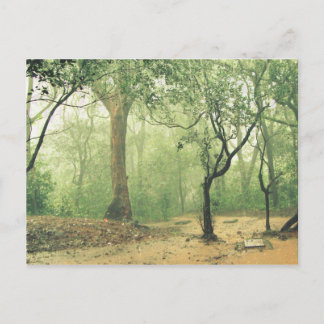 熱帯雨林西ガッツインド ポストカード