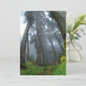 熱帯雨林詩カード 招待状 (スタンド正面)