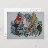 熱帯雨林野生生物群集 ポストカード (正面/裏面)