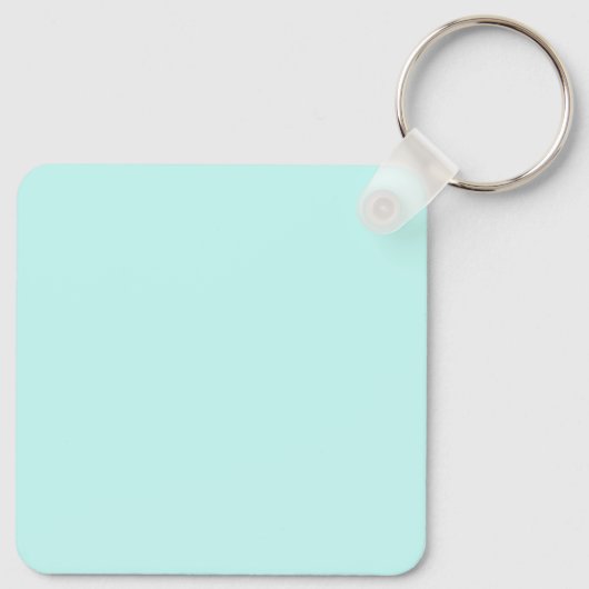 熱帯雨林魚 キーホルダー (裏面)