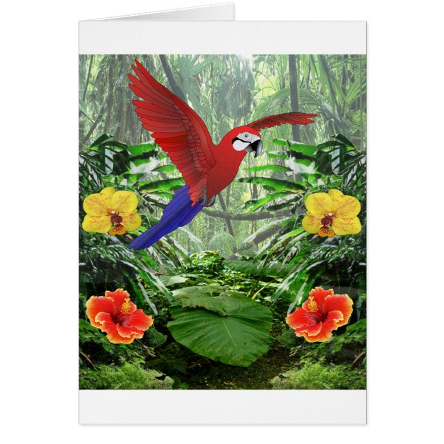 熱帯雨林 (正面)