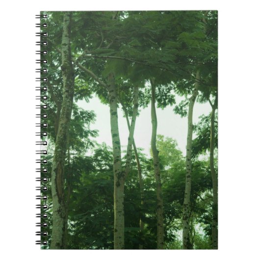 熱帯雨林 ノートブック (正面)