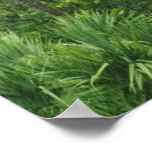 熱帯雨林 ポスター (角)