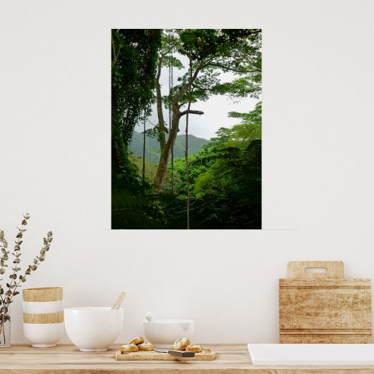 熱帯雨林 ポスター (キッチン)