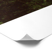 熱帯雨林 ポスター (角)