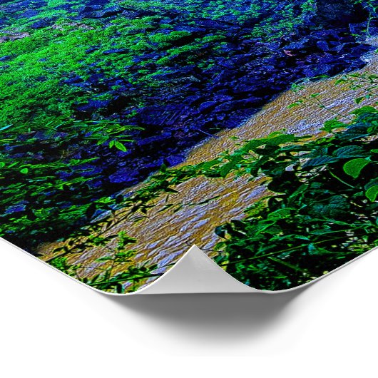 熱帯雨林 ポスター (角)