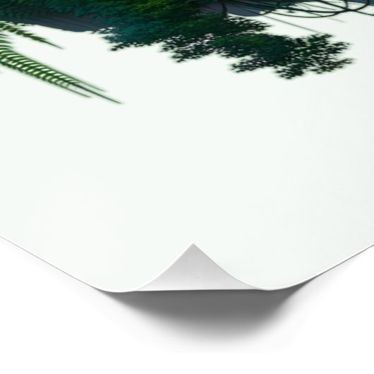 熱帯雨林 ポスター (コーナー)