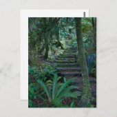 熱帯雨林 ポストカード (正面/裏面)