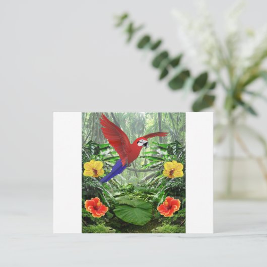 熱帯雨林 ポストカード (スタンド正面)