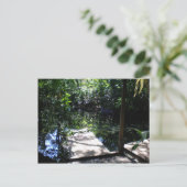 熱帯雨林 ポストカード (スタンド正面)