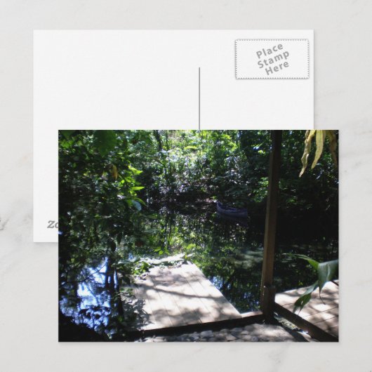 熱帯雨林 ポストカード (正面/裏面)